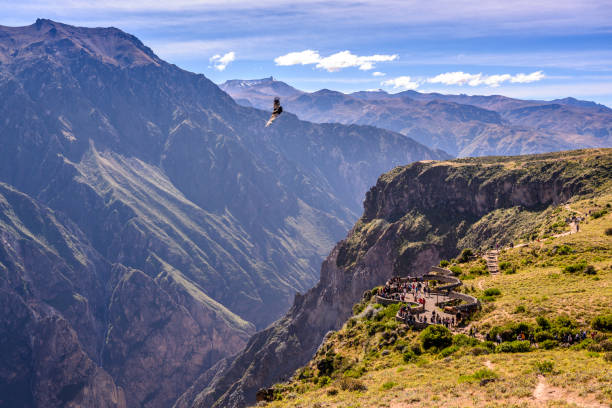 Condor watching at Colca Canyon in Peru People looking for Andean Condors at Colca Canyon in Peru near the city of Arequipa during a hot summer day. arequipa province stock pictures, royalty-free photos & images