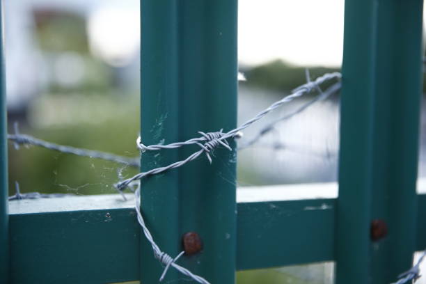 istock Green fence with barbed wire around it. 1154720447