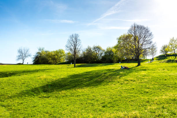 Meadow with fresh green grass and tree. Resting people near the tree. Summer, blue sky and nice sun.