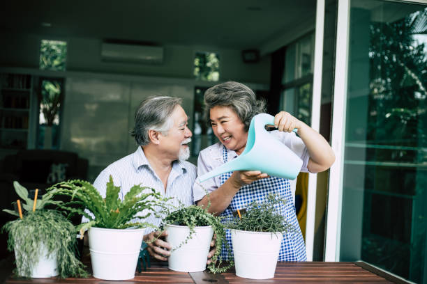 istock Elderly couples talking together and plant a trees in pots. 1154723957