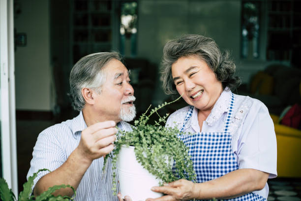 istock Elderly couples talking together and plant a trees in pots. 1154723960