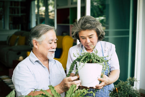 istock Elderly couples talking together and plant a trees in pots. 1154723977