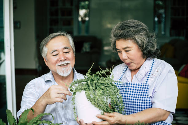 istock Elderly couples talking together and plant a trees in pots. 1154723988