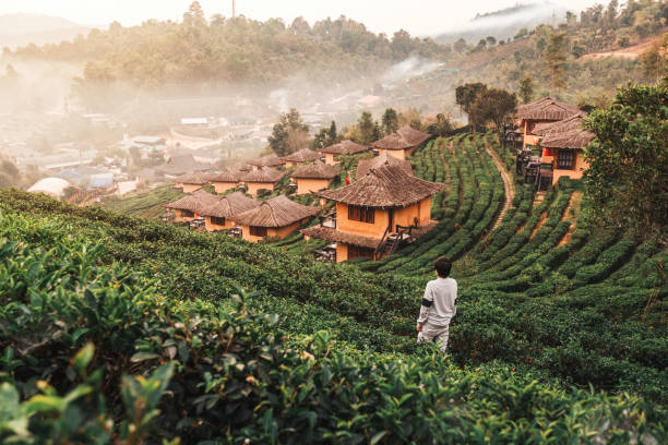 amanecer en lee vino rak thai, asentamiento chino, mae hong son, tailandia - provincia de mae hong son fotografías e imágenes de stock