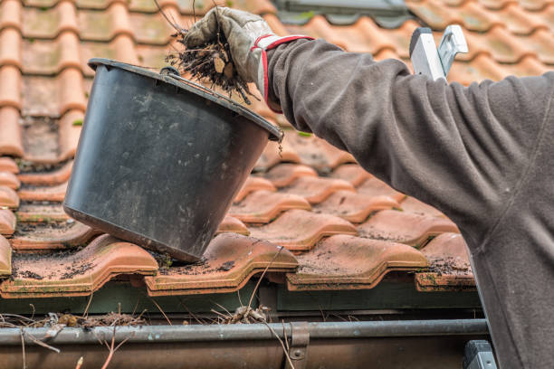 istock Man on a ladder cleaning house gutters 1154728715
