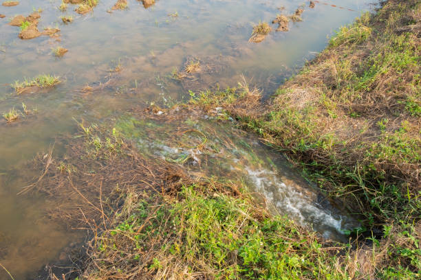 istock underground water flow in to plantation 1154733084
