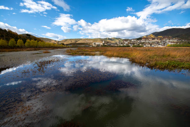 istock Lake with mountains background against blue sky 1154733910