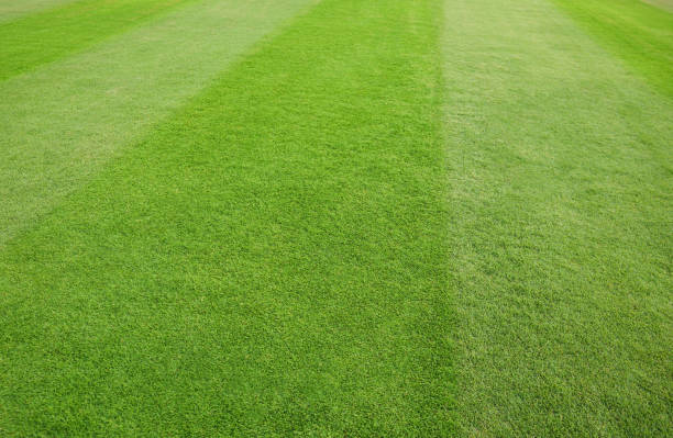 istock Green Field Football Field 1154734913