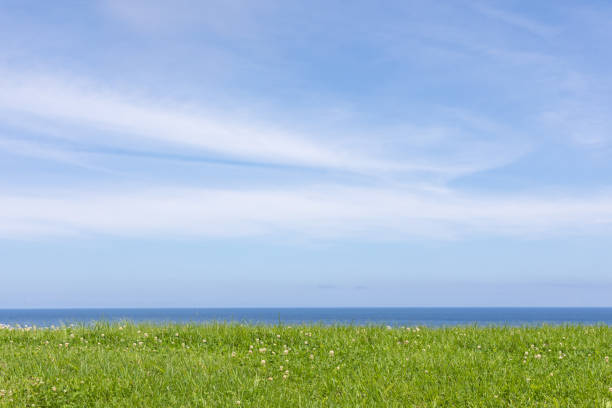 Background material with landscape as motif