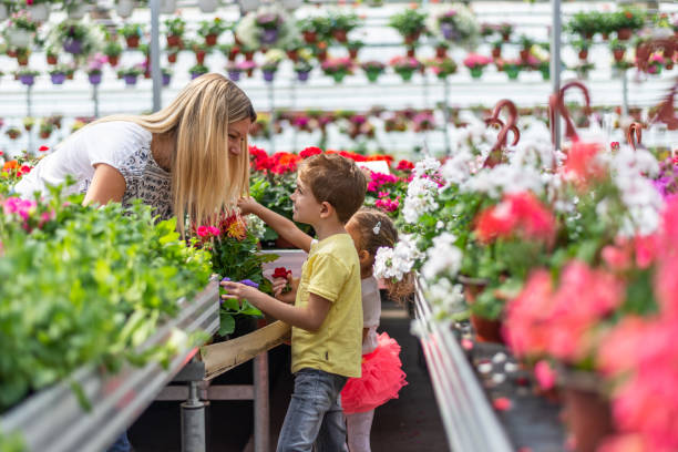istock Buying flowers for our garden 1154736480