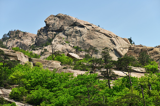 Diamond mountains. DPRK. Mt.Kumgang trekking route. Cliff and red korean pine on the rocks