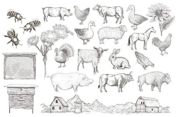 Vector illustration of Collection of farm animals on a paper background