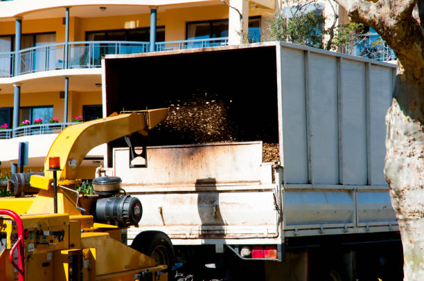 broyeur à bois industriel - broyeur de branches photos et images de collection