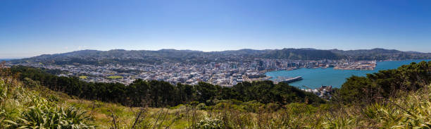 istock Wellington City Centre 1154743125