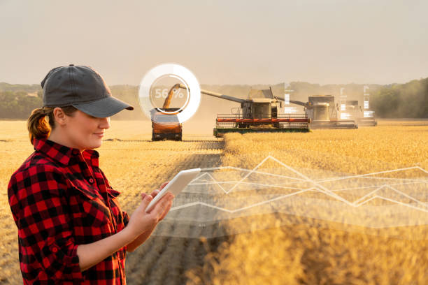 istock Woman farmer with digital tablet 1154743317