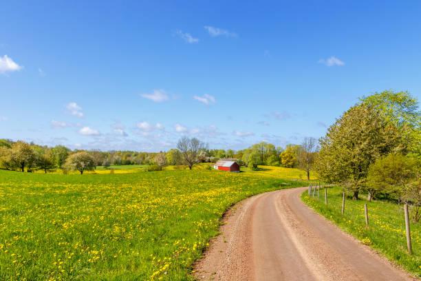 istock Country road through rural landscape in spring 1154744891