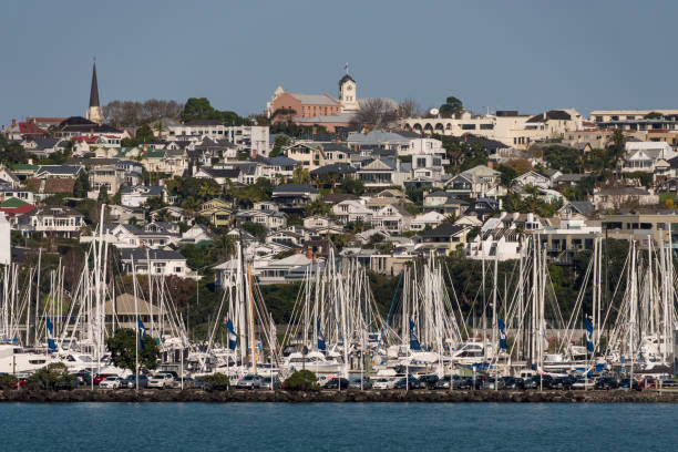 istock Auckland City 1154746423