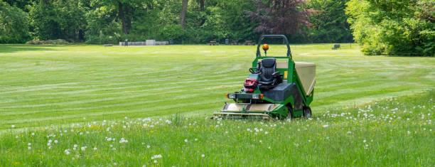 panorama-rasentraktor in grüner pflege - lawn mower tractor gardening riding mower stock-fotos und bilder