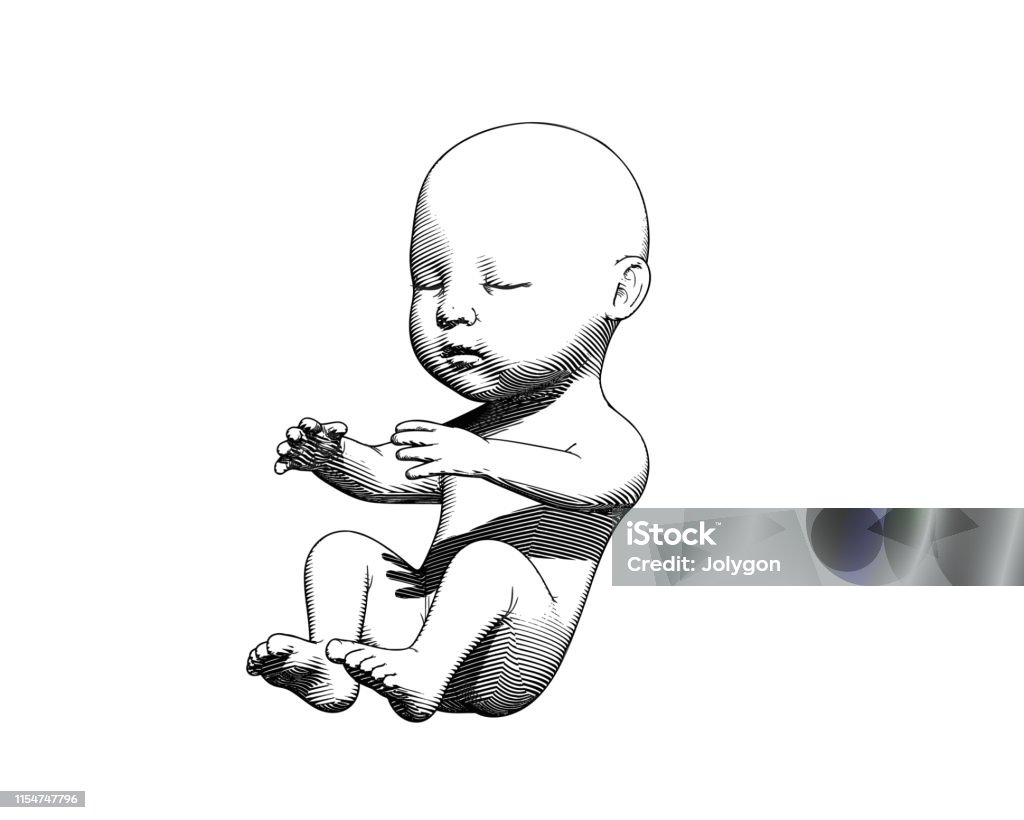 Human Infant Baby Drawing Illustration On White Bg Stock ...