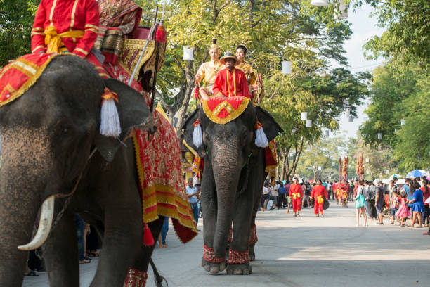 a elephant at the Loy Krathong Festival in the Historical Park in Sukhothai in the Provinz Sukhothai in Thailand.   Thailand, Sukhothai, November, 2018