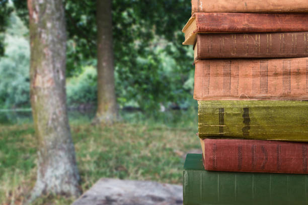 istock stack of books over the natural background 1154754418