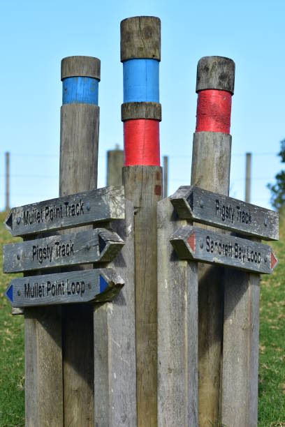 istock Vertical view of walking track poles and signs 1154754466