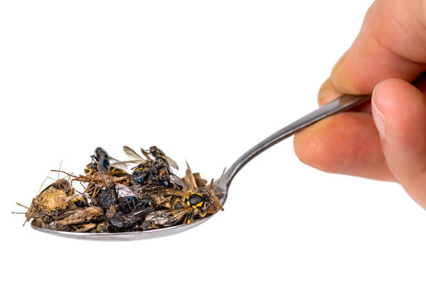 istock Many dead insects lie on a tablespoon held in the hand, isolated 1154755178