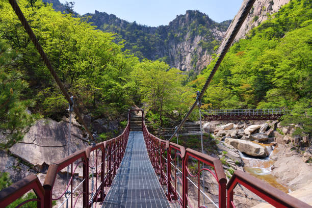 istock North Korea. Diamond mountains. Mt.Kumgang 1154755232