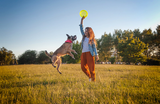 Young beautiful curly girl playing dog with a frisbee in the summer park, the dog is flying in the air
