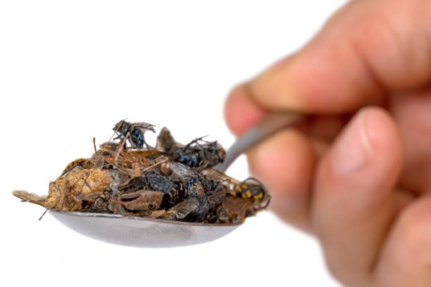 istock Many dead insects lie on a tablespoon held in the hand, isolated 1154756559