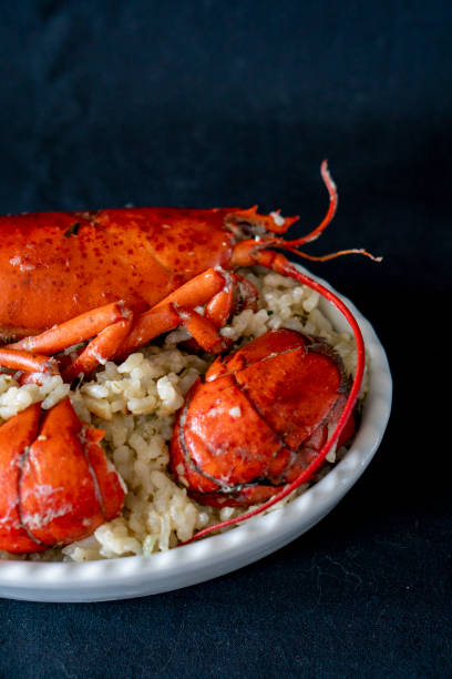 riz au homard (bogavante) - seafood lobster paella prepared shellfish photos et images de collection