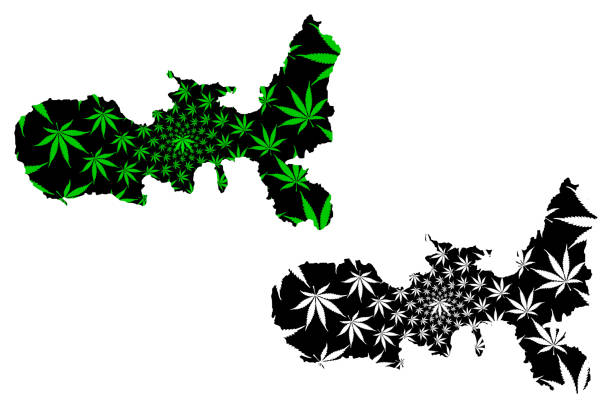 エルバ島 (イタリア、トスカーナ群島、イタリア共和国) の地図は、大麻の葉の緑と黒を設計され、マリファナ (マリファナ、thc) の葉で作られたエルバマップ - isle of elba点のイラスト素材／クリップアート素材／マンガ素材／アイコン素材