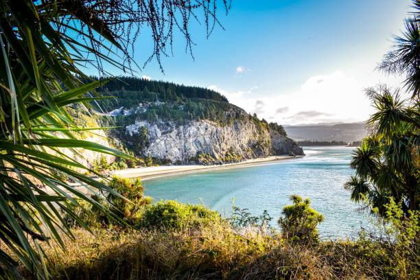 Canoe beach views, Dunedin, Otago NZ Canoe beach views, Dunedin, Otago NZ dunedin new zealand stock pictures, royalty-free photos & images