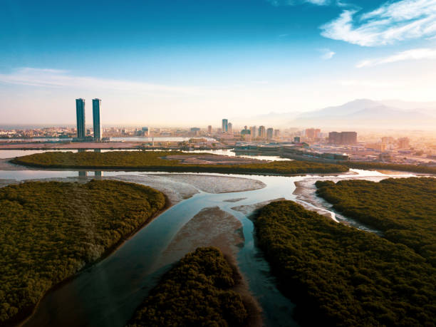 istock Ras al Khaimah mangrove forest in the UAE 1154760766