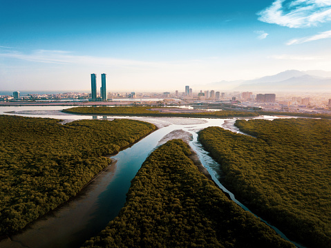 Ras al Khaimah mangrove forest and skyline in the UAE aerial view