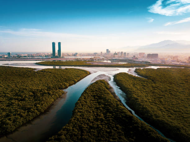 Ras al Khaimah mangrove forest in the UAE Ras al Khaimah mangrove forest and skyline in the UAE aerial view mangrove tree photos stock pictures, royalty-free photos & images