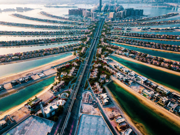 istock The Palm island in Dubai aerial view 1154760963