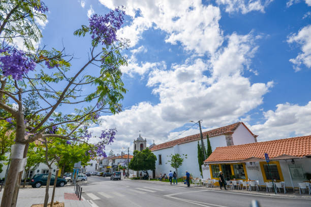 opinião geral da rua do centro histórico da vila charming de azeitão, setubal, portugal - editorial europe food drink - fotografias e filmes do acervo