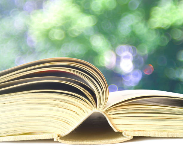 istock Open book, close up shot, blurred nature background. Reading,learning, education concept 1154765842