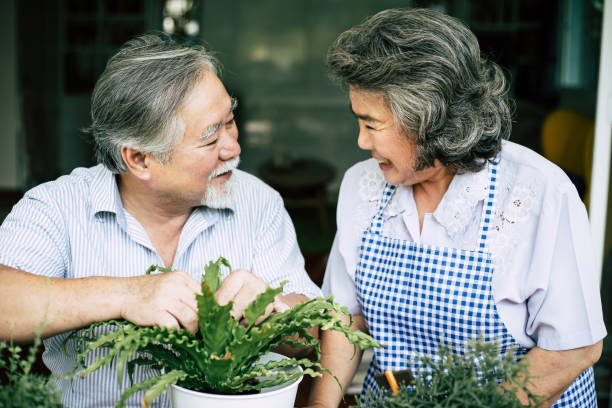 istock Elderly couples talking together and plant a trees in pots. 1154766181