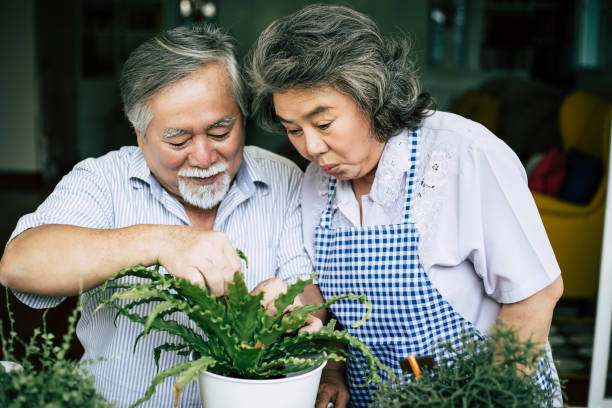 istock Elderly couples talking together and plant a trees in pots. 1154766205