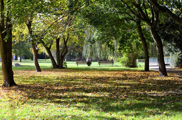 istock Lonely person on a park bench 1154766212