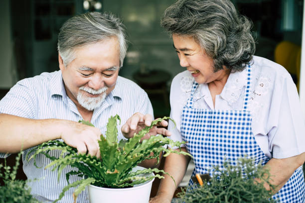 istock Elderly couples talking together and plant a trees in pots. 1154766246