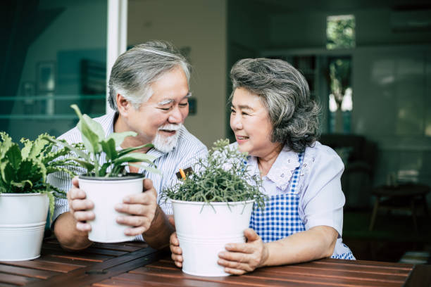 istock Elderly couples talking together and plant a trees in pots. 1154766257