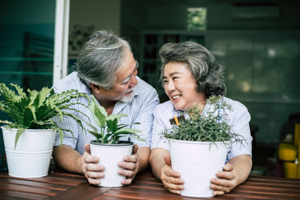 istock Elderly couples talking together and plant a trees in pots. 1154766291
