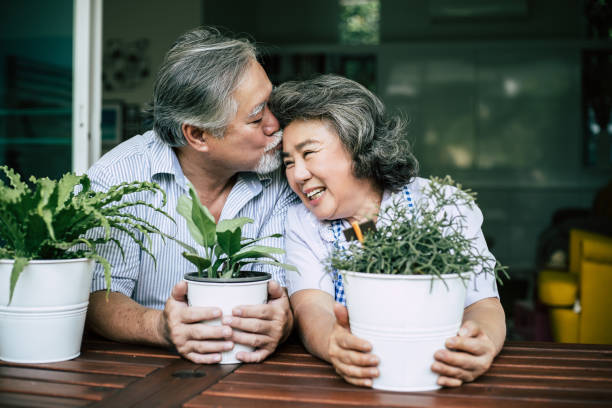 istock Elderly couples talking together and plant a trees in pots. 1154766310
