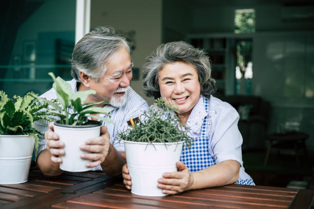 istock Elderly couples talking together and plant a trees in pots. 1154766318