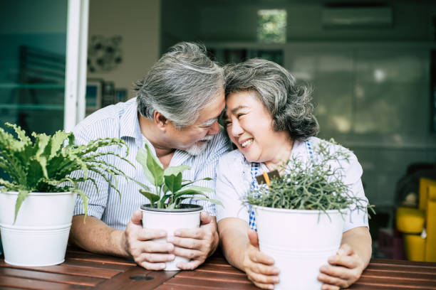 istock Elderly couples talking together and plant a trees in pots. 1154766343
