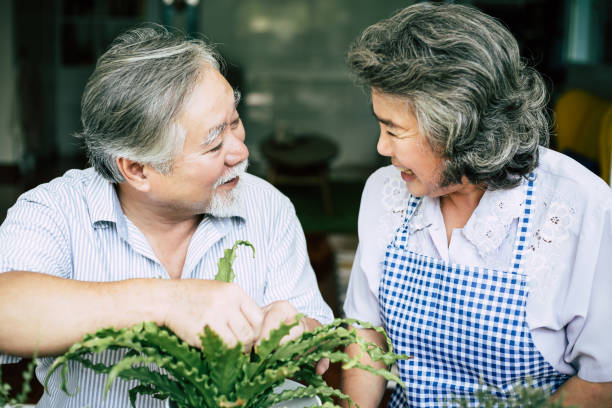 istock Elderly couples talking together and plant a trees in pots. 1154766348