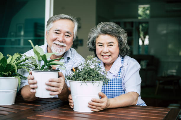 istock Elderly couples talking together and plant a trees in pots. 1154766349